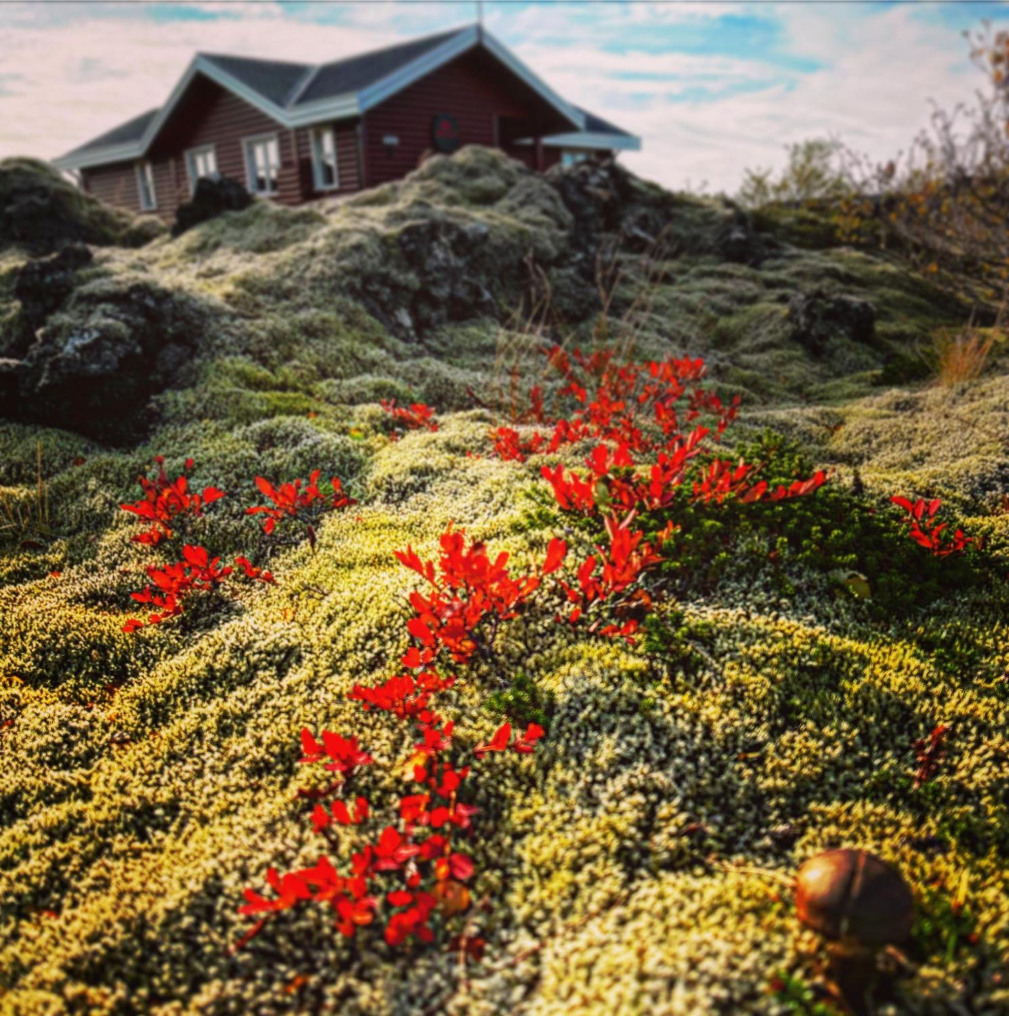 House In Lava Villa Bifrost Exterior photo